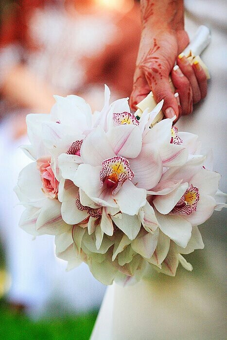 兰花手捧花