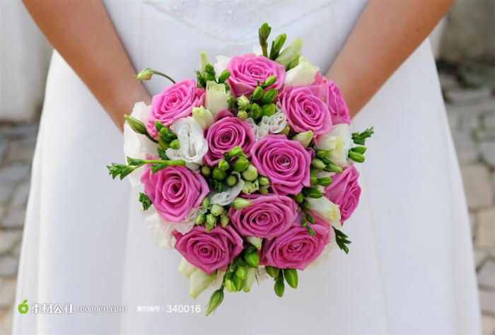 婚礼玫瑰花素材,粉红玫瑰花束,手持玫瑰花…-堆糖