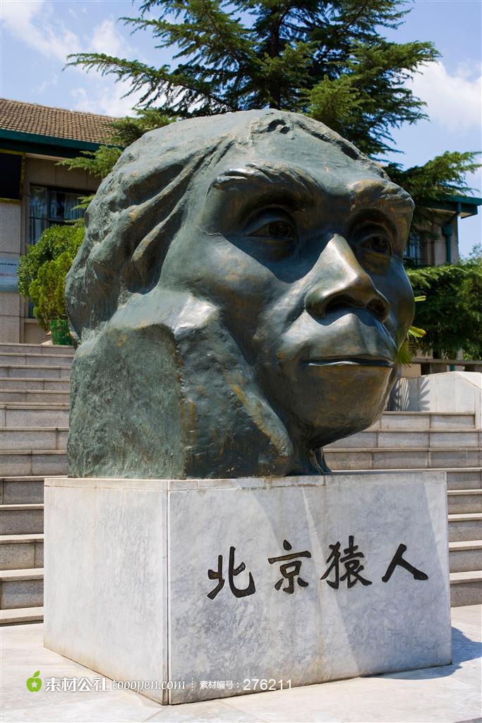 北京猿人头部雕像图片素材,北京猿人高清图片