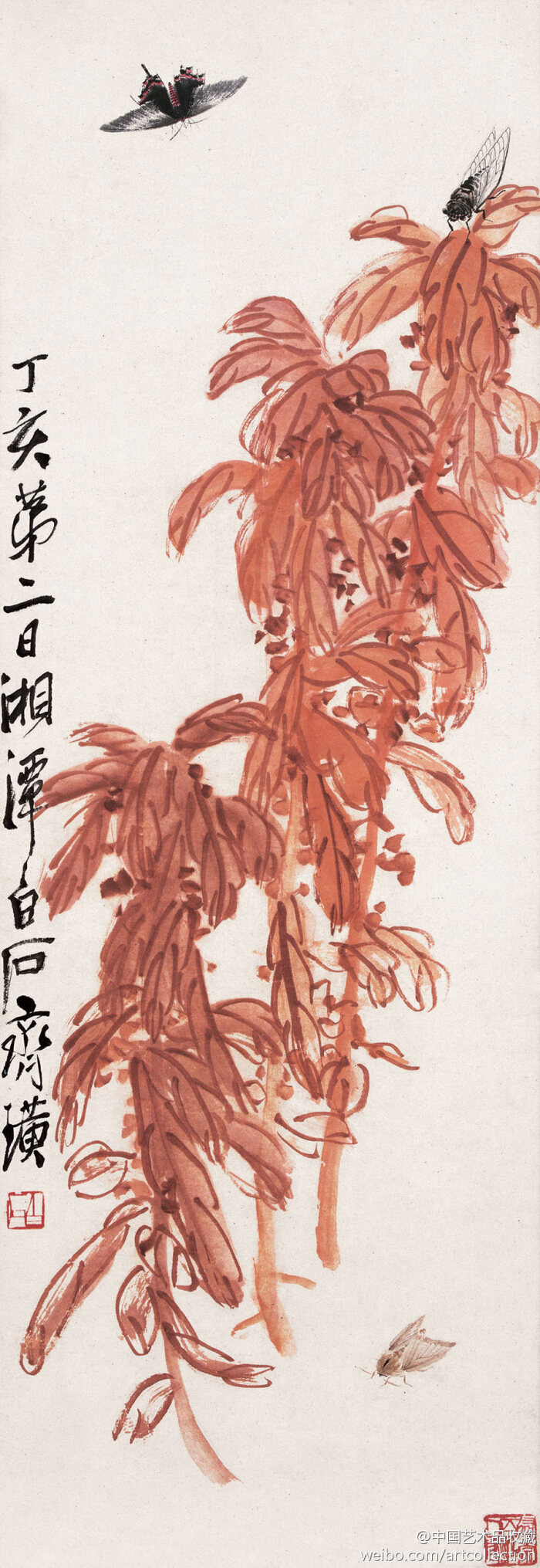 【 齐白石 《雁来红》 】轴,纸本设色,98×34cm,1947年作.