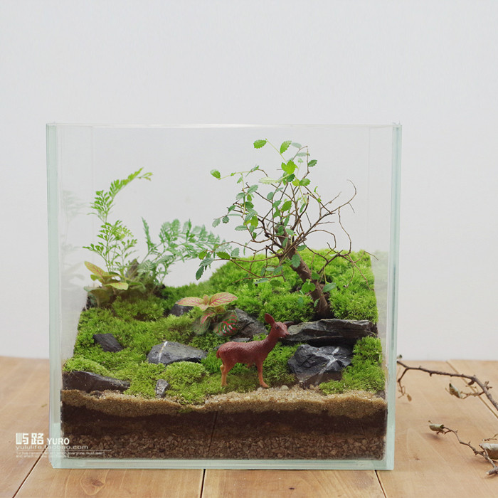 屿路生活 品 苔藓微景观 苔藓生态瓶 龙猫,手工绿植 创意绿植 盆景