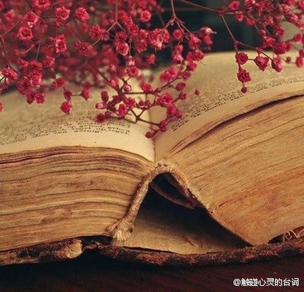 也许不是你本来想走的路,也不是你本来想登临的山顶,可另一条路有另一
