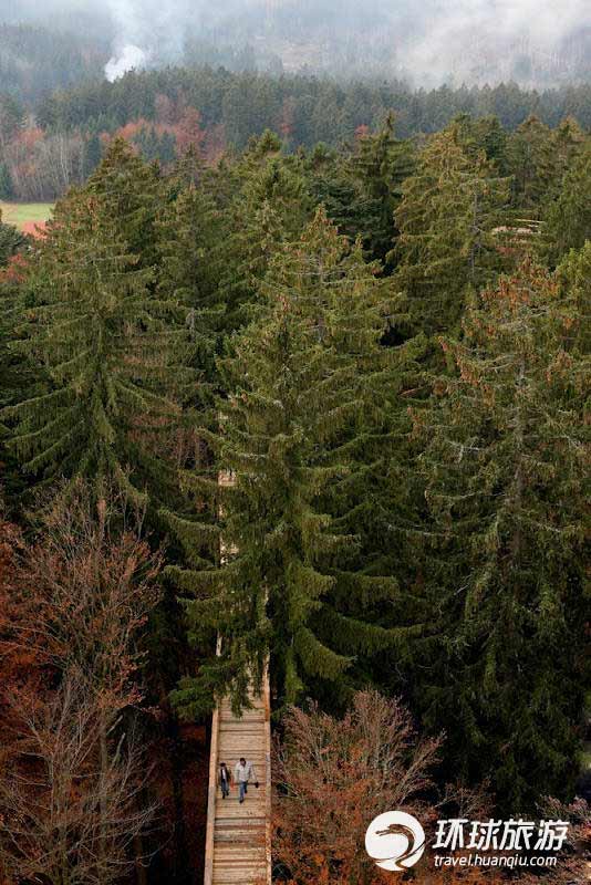 republic)边界的巴伐利亚森林区(bavarian forest),同样拥有和黑森林