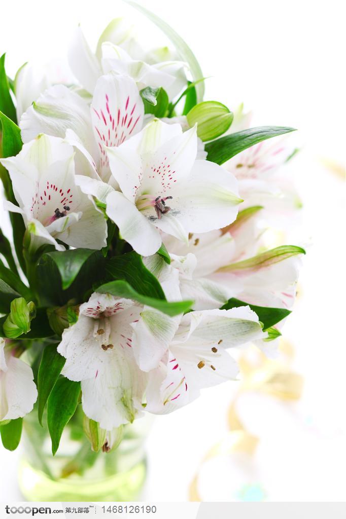 精美的鲜花图片——花瓶里的百合花背景图片高清图片素材