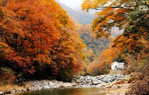 四川南江光雾山