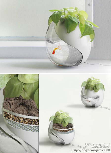 创意家居#设计师把鱼缸及花盆结合在一起,形成了一个酷似太极图的产品