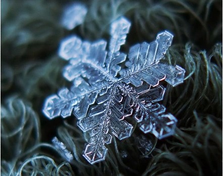 微距的雪花世界(还记得那本水知道答案的吗,雪花的微距世界)