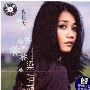 梁静茹-一夜长大