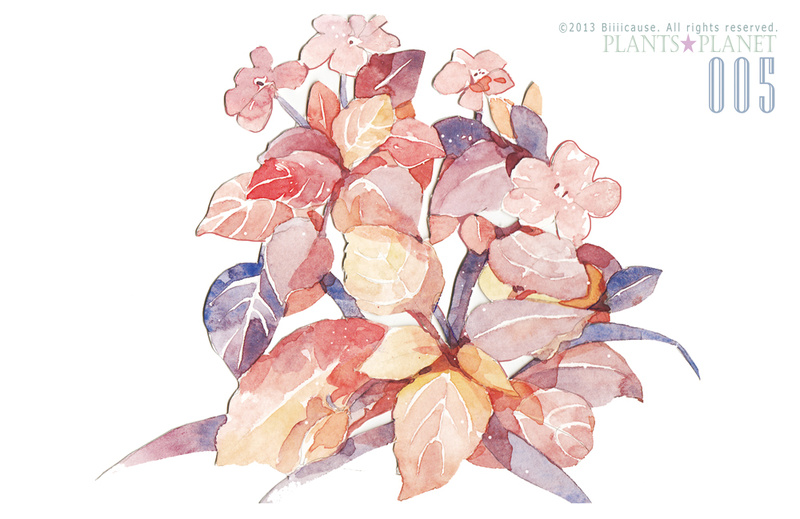 肶cause 的插画 水彩植物主题明信片《plantsplanet》