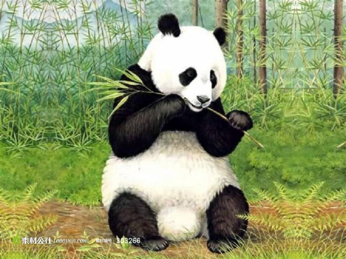 高清大熊猫吃竹子图片素材