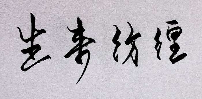 生来彷徨-堆糖,美好生活研究所