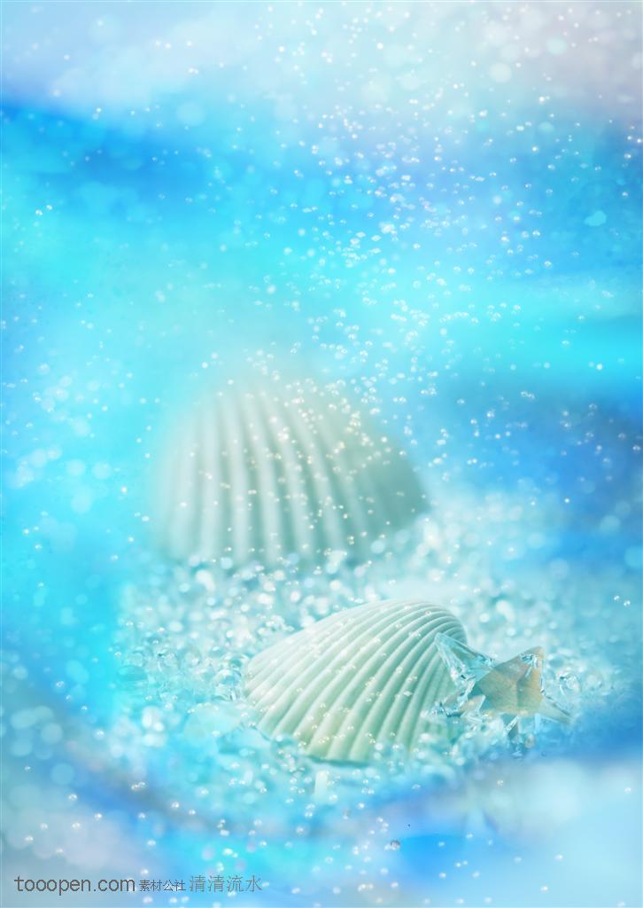 背景底纹-沙滩上的贝壳图片素材-高清免费设计图片素材下载,现在加入