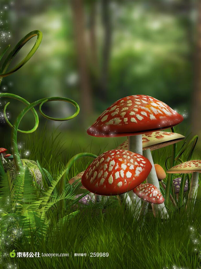 绿色深林的梦幻红色蘑菇摄影背景桌面壁纸图片素材