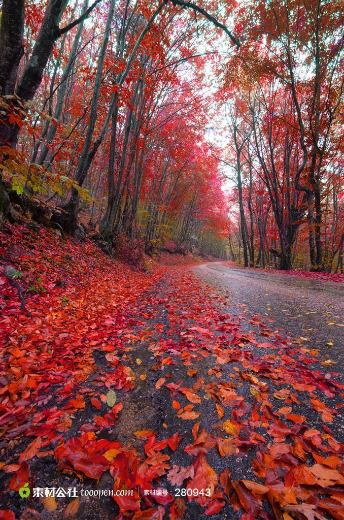 高清唯美秋天旳风景图片素材