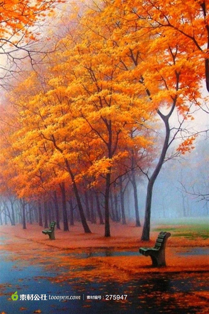 秋季广告元素摄影背景桌面壁纸图片素材,国外枫叶路枫树林公园