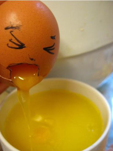 有一只公鸡,一只母鸡,一起在家看电视,母…-堆