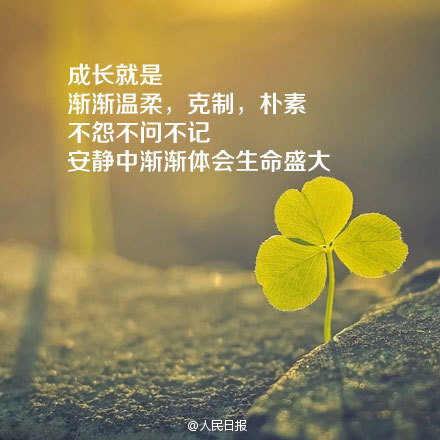 9句话送给你,永远不要停止相信自己.早安.