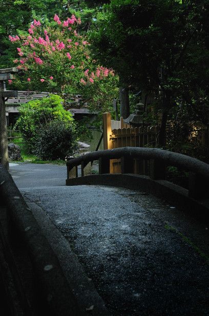 Kyoto Gyoen, Japan 京都御苑