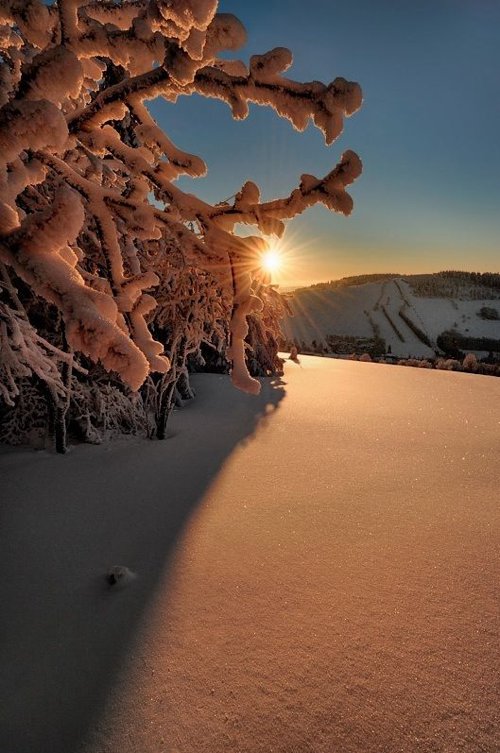 雪景摄影图片