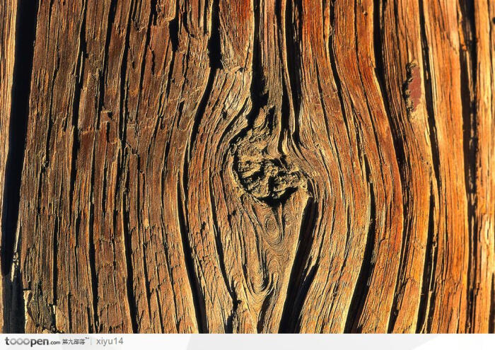 木纹板材机理效果-美丽的树皮纹理图片素材下载,现在加入素材公社即可
