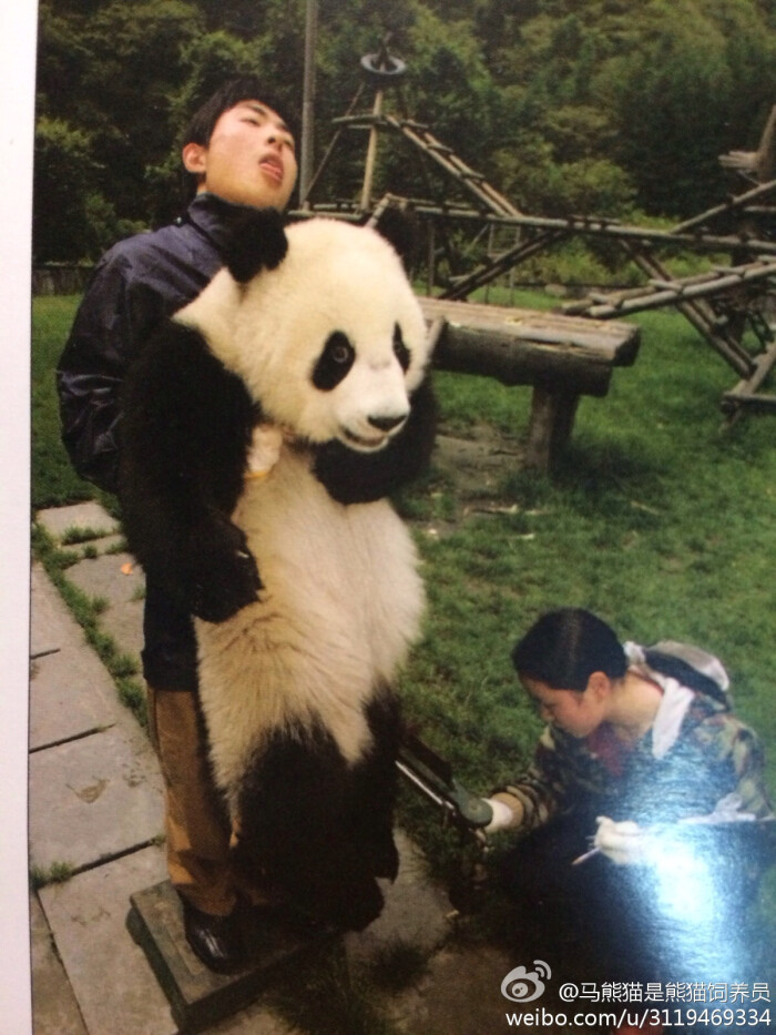 买了一本书的插图,其实奶爸的表情才是亮点…