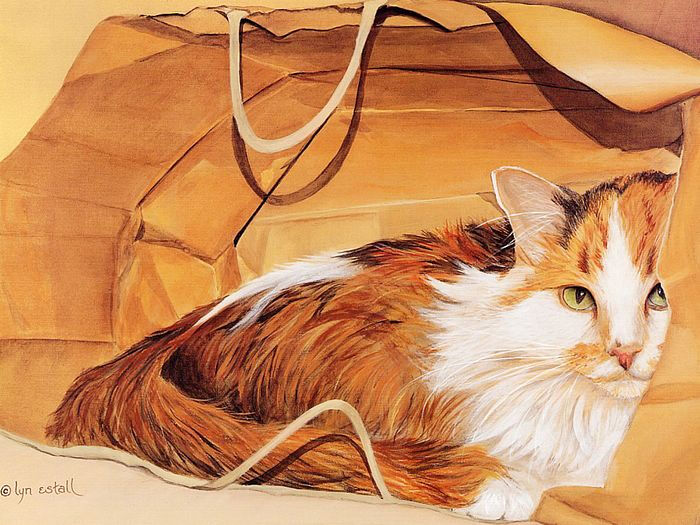 画家笔下的可爱猫咪壁纸 - lyn estall 猫咪插画 - 可爱手绘猫咪桌面