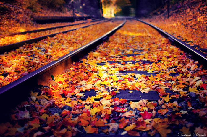 那些年我们不曾留住的秋色讨论 心在诗情画…