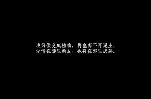 一组非常有韵味的黑底白字文字图片素材