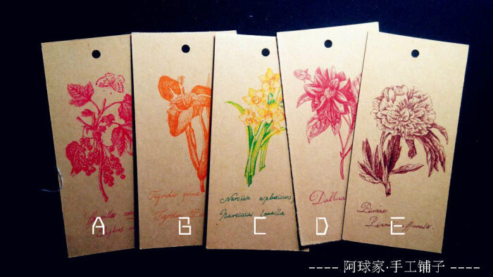 原创定制创意书签 手绘牛皮纸卡片 手绘钢笔花卉 植物图谱