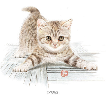 飞乐鸟作品#《猫咪绘Ⅱ》—感恩猫咪的天使姿态,你家的喵星人,你喜欢