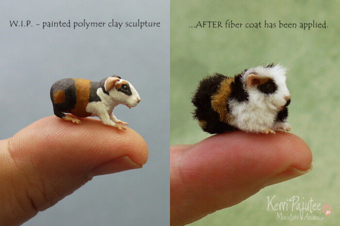 beforeafter卡通,beforeafter图片 before/after 1:12 guinea pig sculpture