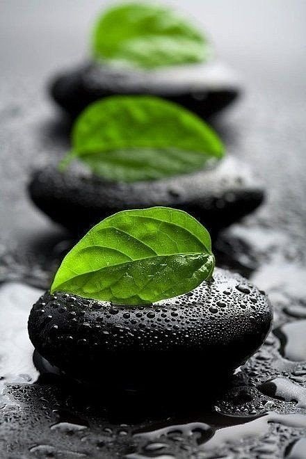 岁月静好,流年的光阴如飘零的花瓣雨,带着幽幽暗香在指间流淌.