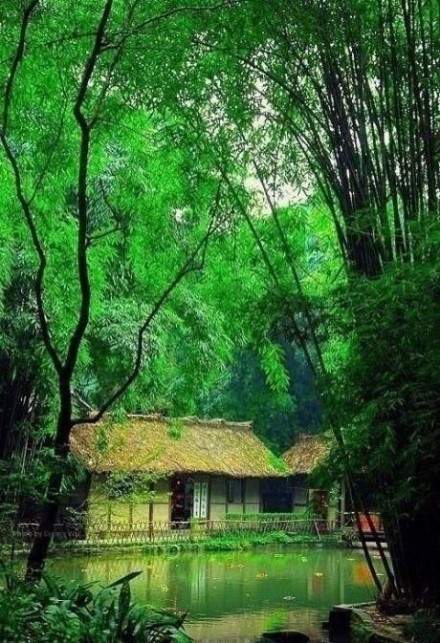 "曲径通幽处,禅房花木深." 出处 唐·常建《题破山寺后禅院》