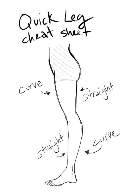 leg cheat sheet