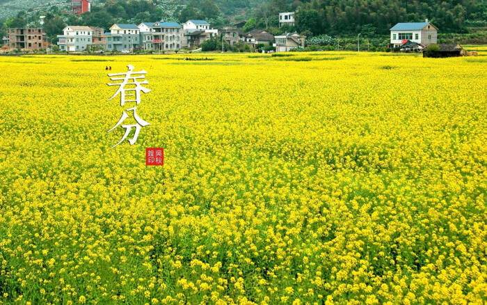【二十四节气】春分