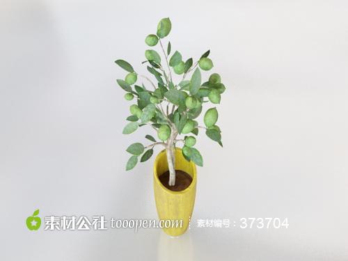 家居室内小型植物盆景模型
