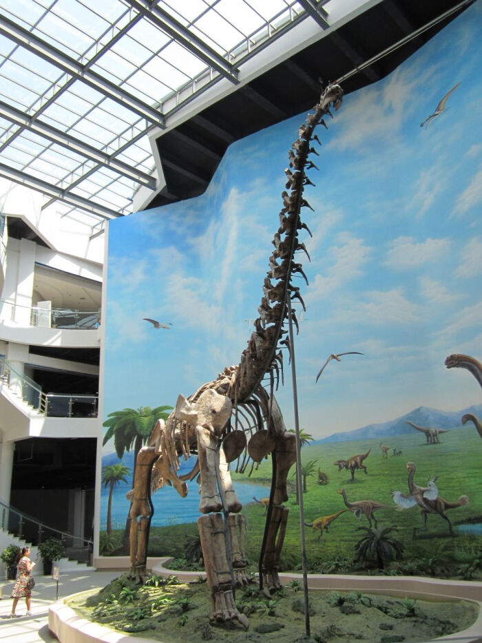 去辽宁古生物博物馆看霸气外漏的恐龙.辽宁旅游景点http://liaoning.