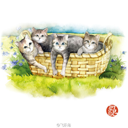 喵!《水彩猫咪绘》飞乐鸟官方正版 满包邮