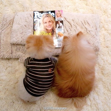 还记得超萌的俊介君吗?他有老婆啦!可爱爆表哦