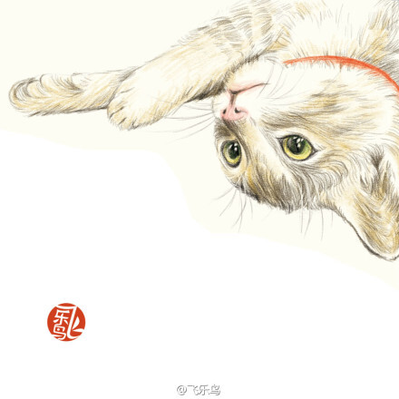 飞乐鸟正版《色铅笔下的猫咪天国》油性色铅绘画教程书 满159免邮