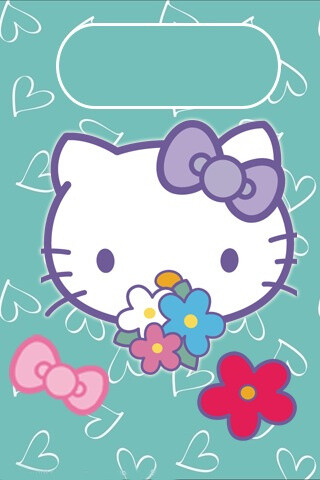 运营商 kitty,运营商是什么意思