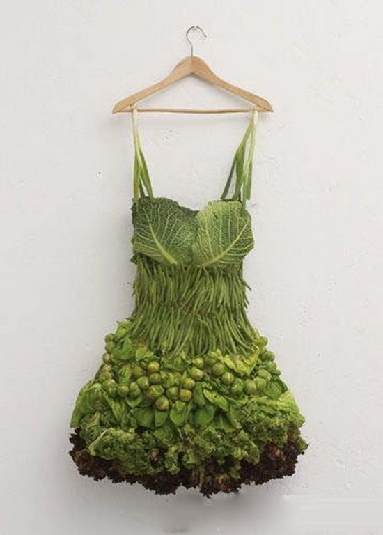 获得国外创意大赏的作品——蔬菜晚礼服