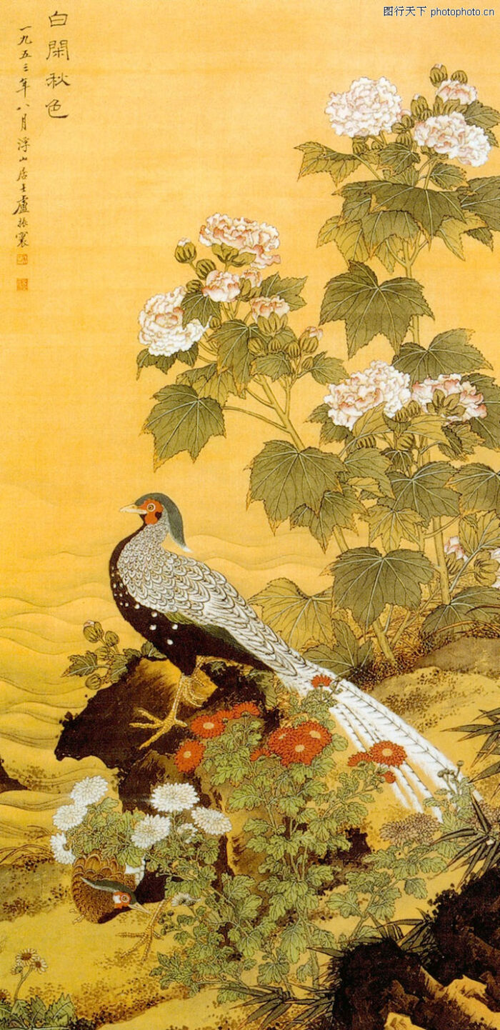 中国现代花鸟,山水名画,中国现代花鸟0005