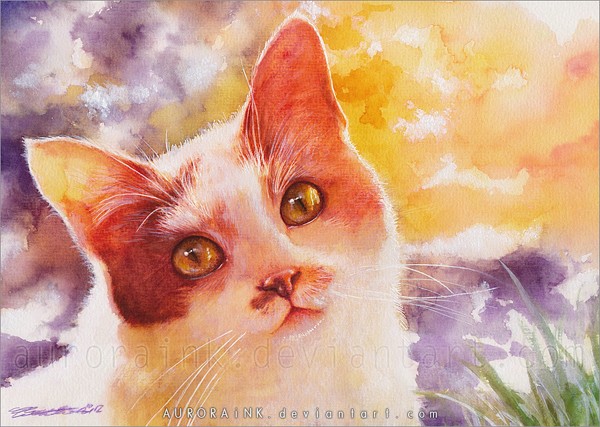 德国水彩画家charlene wienhold:可爱的猫