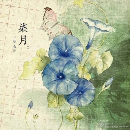 十二月花朵手绘#花开四季,占尽世间色彩. by 此公子