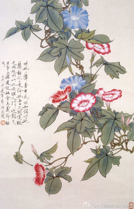 于非暗 牵牛花.