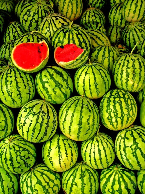 watermelon·西瓜