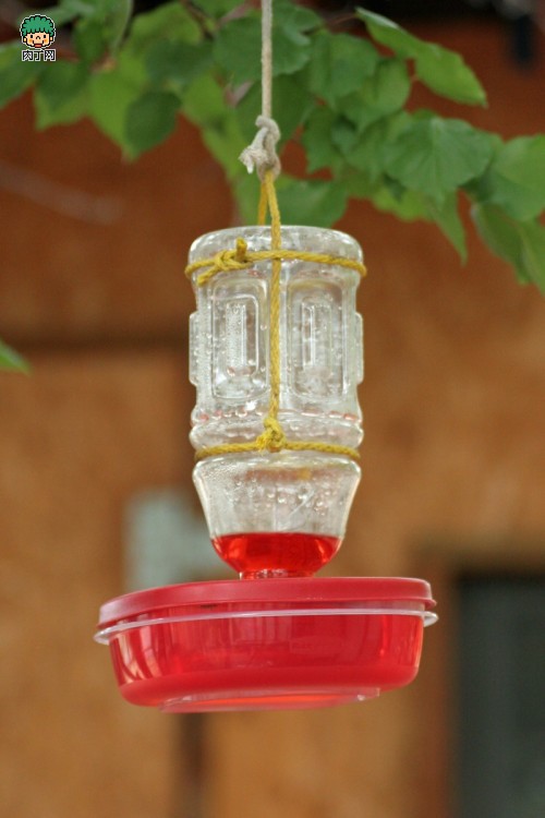 用饭盒和塑料饮料瓶diy创意可爱实用的小鸟喂食器