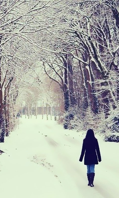 这场雪,迷失在路上.一个人行走,含着泪微笑,一边失去,一边寻找.