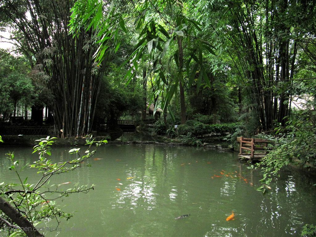 竹林池塘高清摄影图片素材